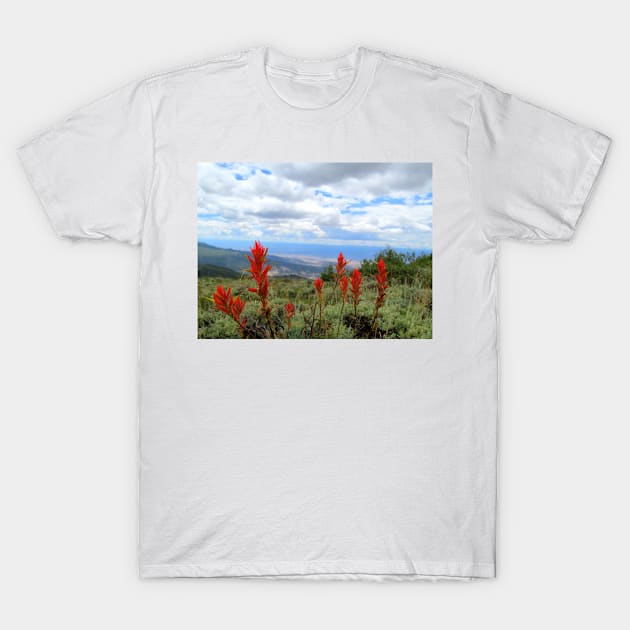 Grand Mesa Flowers T-Shirt by BSCustoms